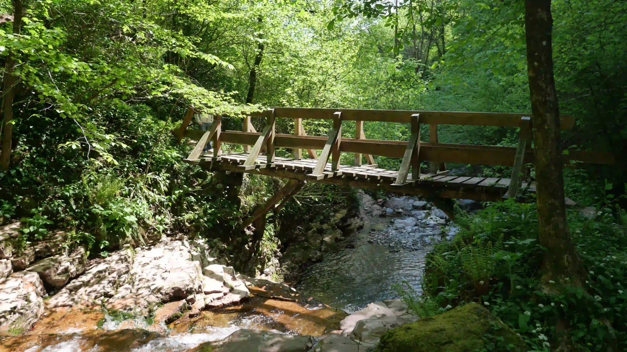 Il ponte il legno nei presso dell'orrido