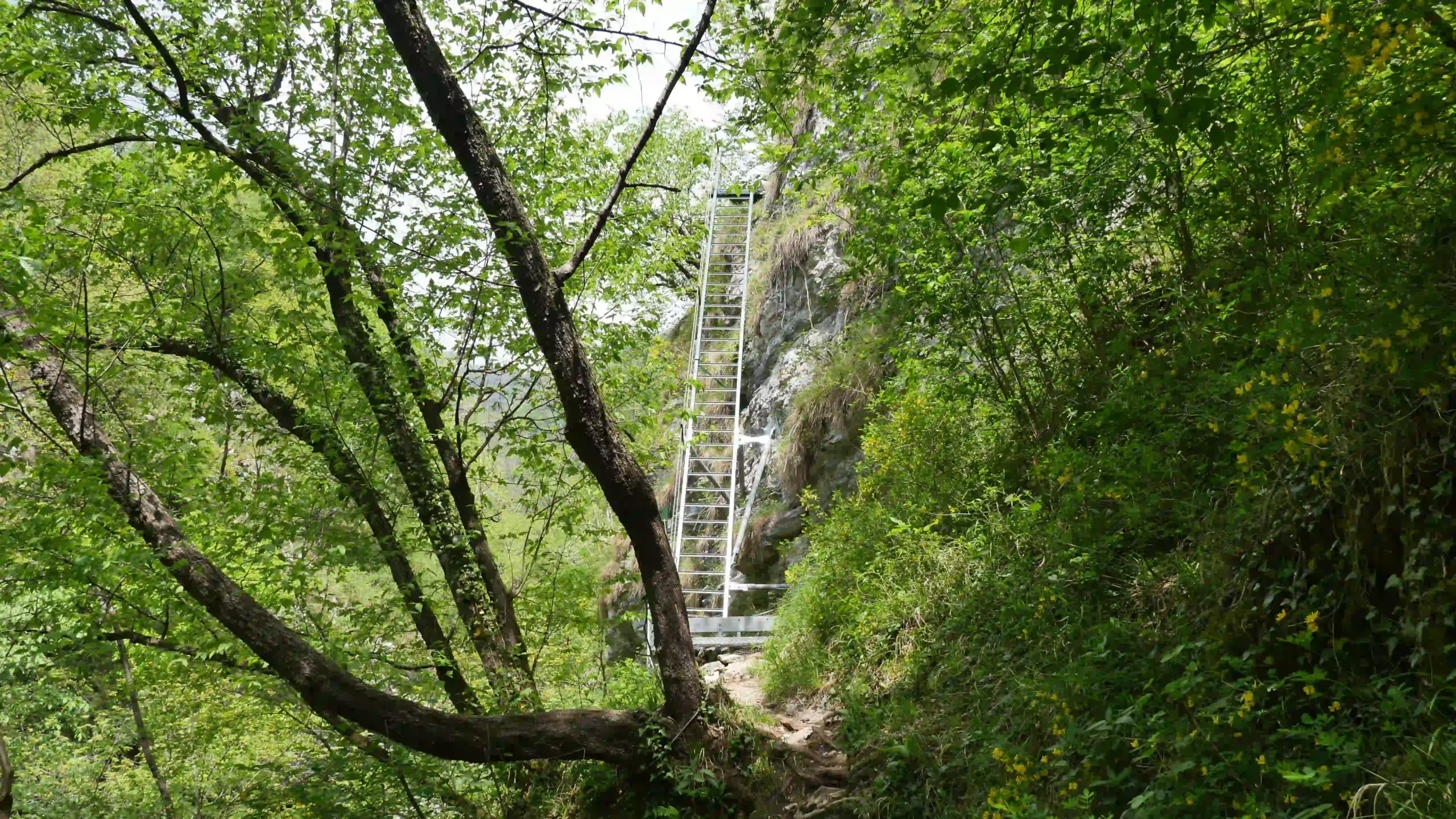 La scala in ferro (di destra)