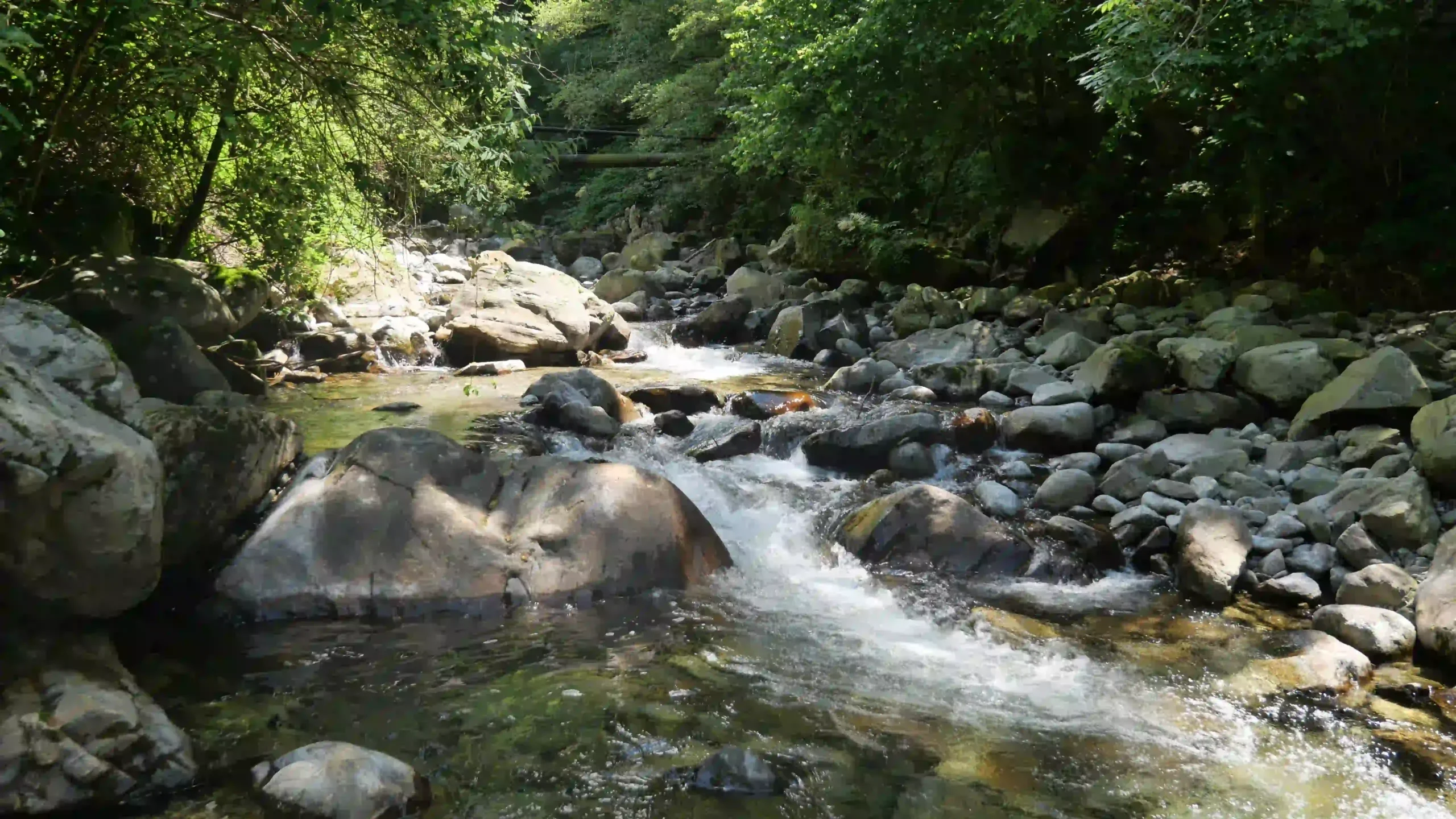 Il torrente Troggia
