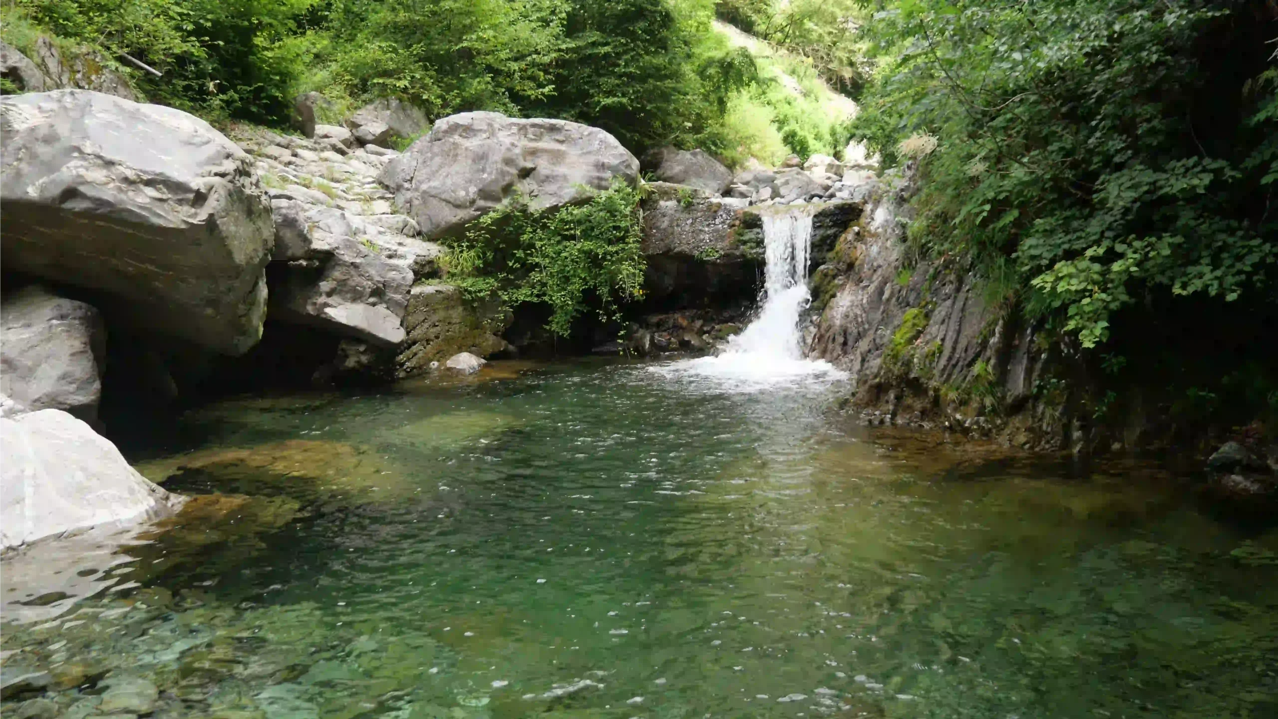 Una delle grandi vasche lungo il torrente
