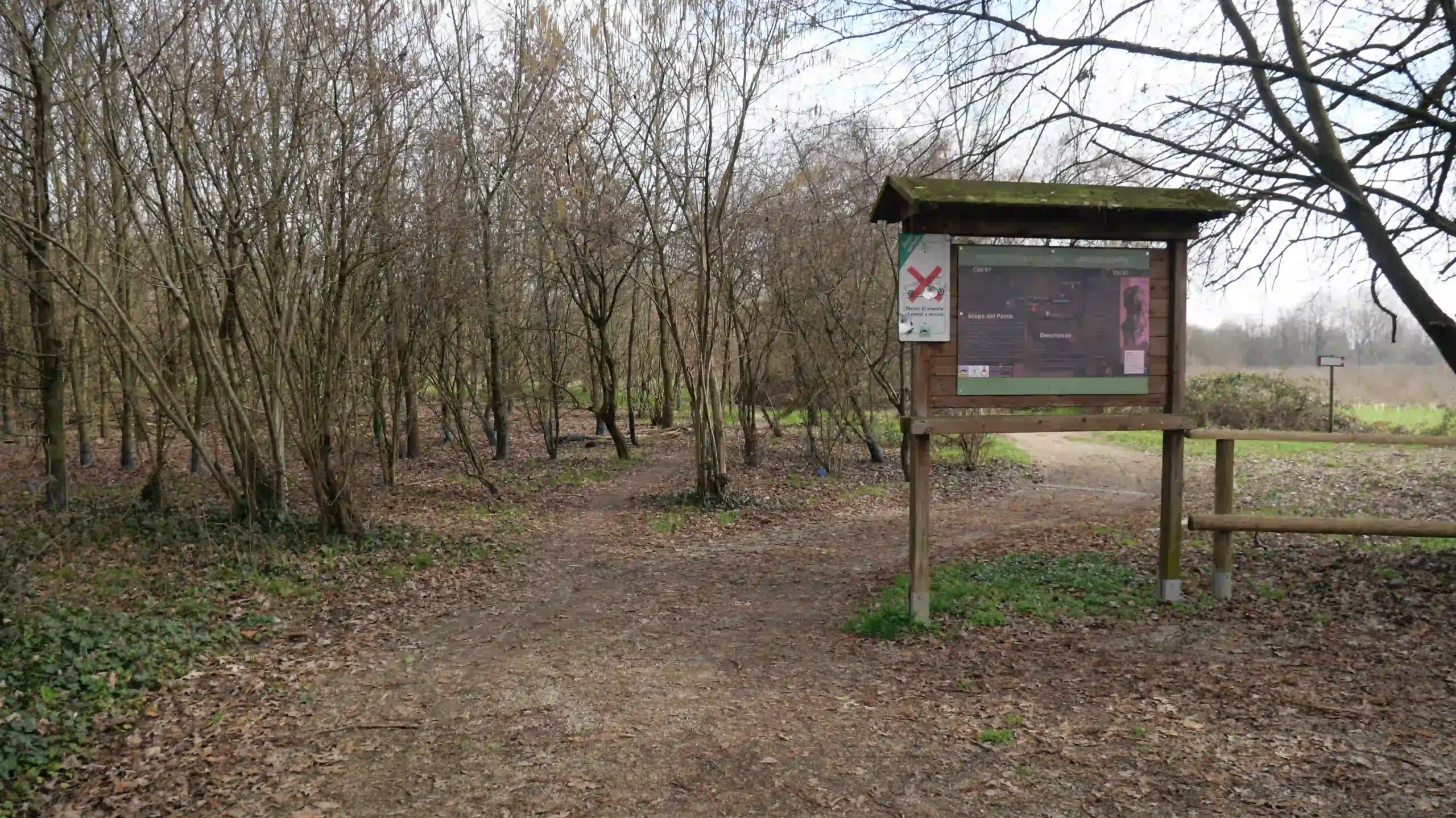Ingresso del sentiero boschivo