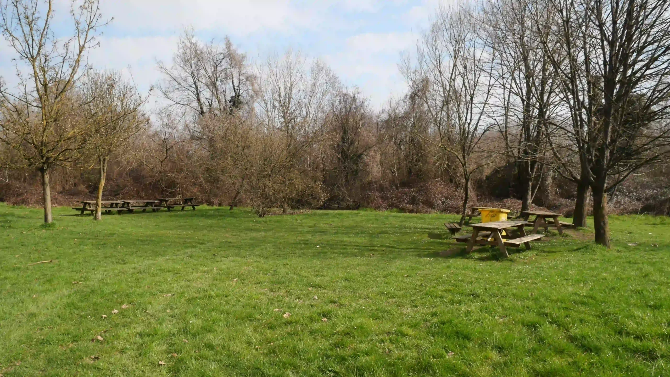 Area picnic con tavoli e panche