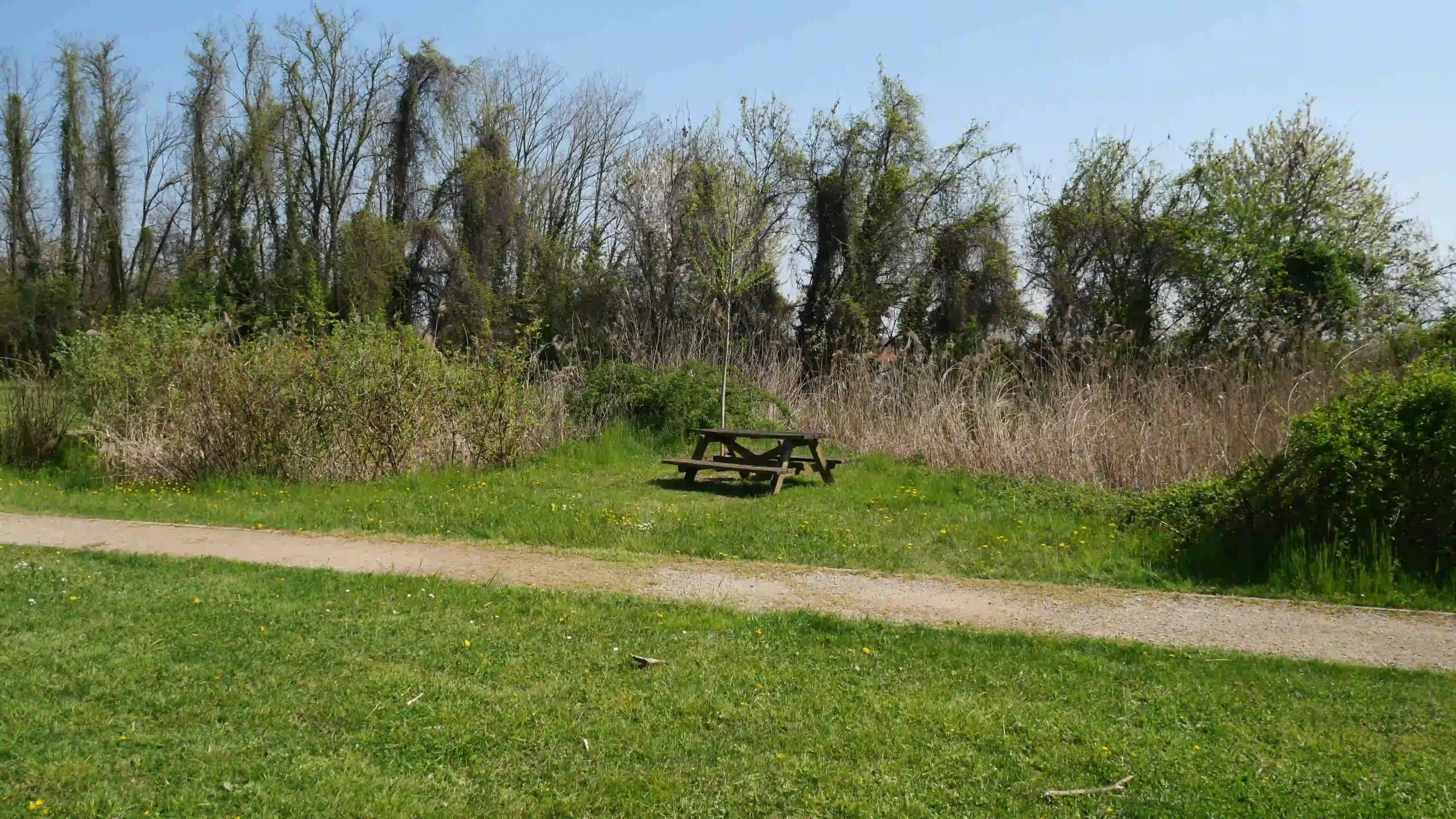 Il bacino naturalistico